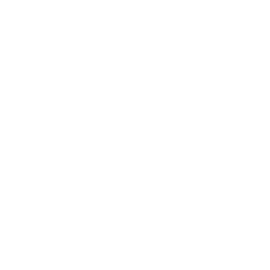 Vannes